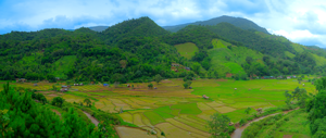 mountain scene