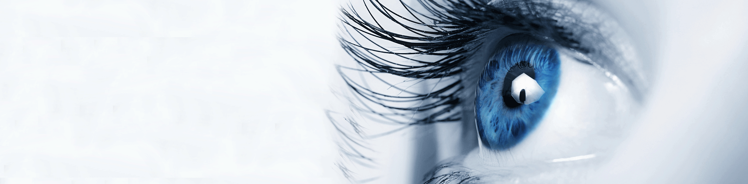 Closeup of a person's eye